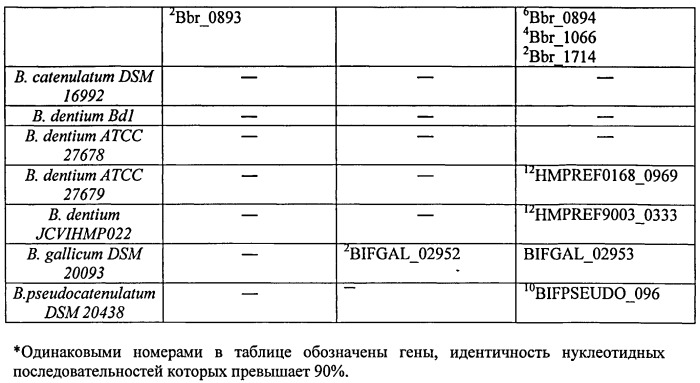Способ видовой и штаммовой идентификации бифидобактерий филотипа bifidobacterium longum (патент 2527069)