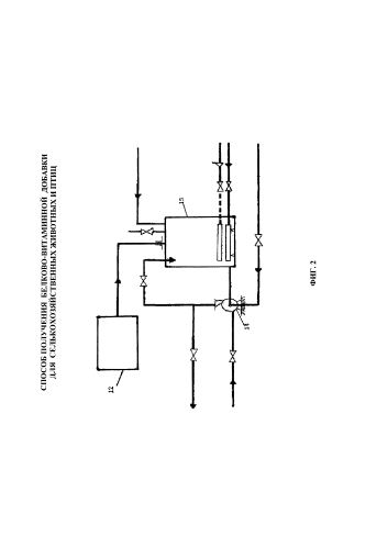 Способ получения белково-витаминной добавки для сельскохозяйственных животных и птицы (патент 2592568)