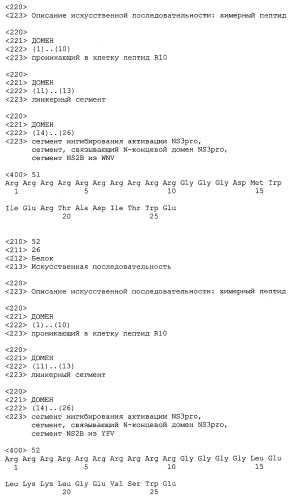 Химерные пептидные молекулы с противовирусными свойствами в отношении вирусов семейства flaviviridae (патент 2451026)