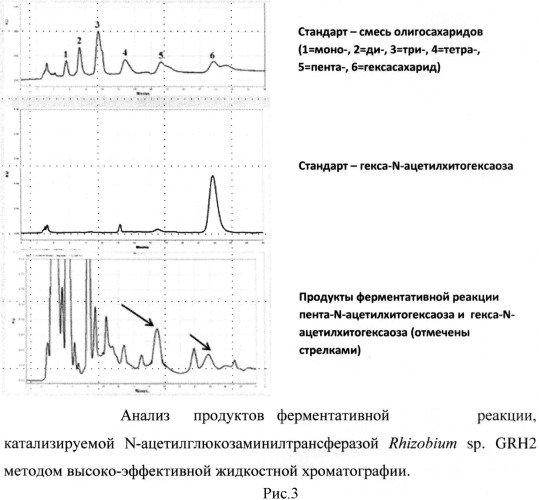 Способ ферментативного получения пента-n-ацетилхитопентаозы и гекса-n-ацетилхитогексаозы (патент 2517620)