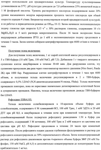 Scfv-антитела, которые проходят через эпителиальный и/или эндотелиальный слои (патент 2438708)