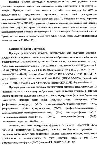 Способ получения l-треонина и l-аргинина с использованием бактерии, принадлежащей к роду escherichia, в которой инактивирован кластер генов yehabcde (патент 2337960)