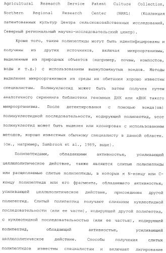 Клетка-хозяин trichoderma reesei для получения целлюлолитической белковой композиции, целлюлолитическая белковая композиция, способы ее получения и применения (патент 2494146)