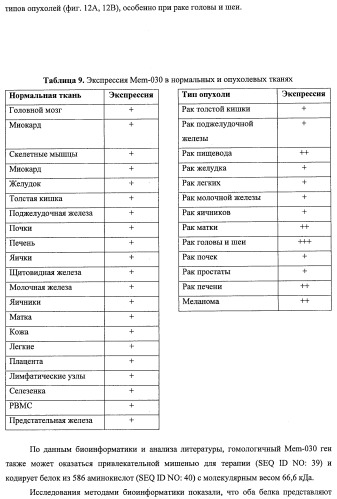 Идентификация опухолевых антигенов для диагностики и терапии (патент 2485974)