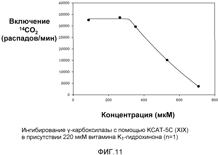 Лечение остеопороза (патент 2562976)