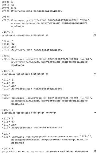 Способ и набор для выявления гена, кодирующего мембраносвязанный белок, вектор (варианты) (патент 2246538)