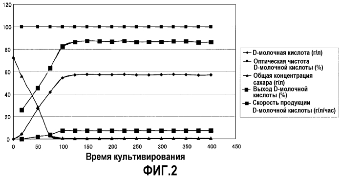 Полипептид, обладающий активностью d-лактатдегидрогеназы, полинуклеотид, кодирующий этот полипептид, и способ получения d-молочной кислоты (патент 2553563)