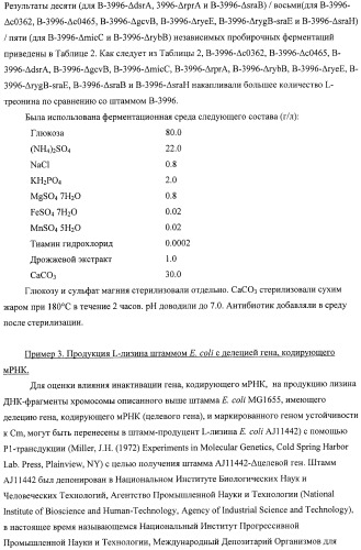 Способ получения l-аминокислот с использованием бактерии, принадлежащей к роду escherichia, в которой инактивирован один или несколько генов, кодирующих малые рнк (патент 2395567)