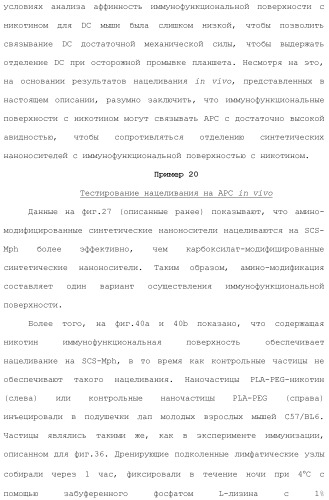 Включение адъюванта в иммунонанотерапевтические средства (патент 2496517)