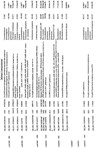 Гены corynebacterium glutamicum, кодирующие белки метаболических путей (патент 2306339)