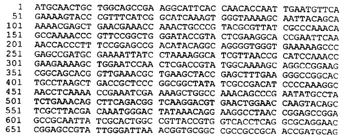 Антигены neisseria meningitidis (патент 2343159)