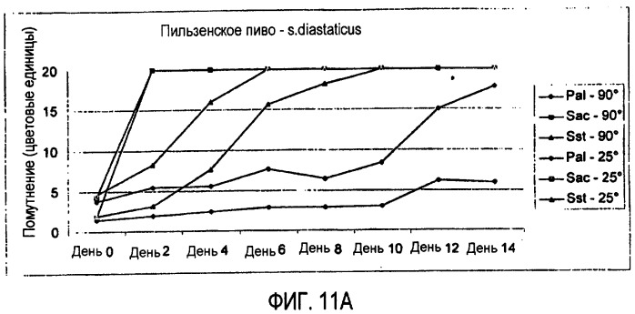 Микробиологически стабилизированное пиво (патент 2380400)