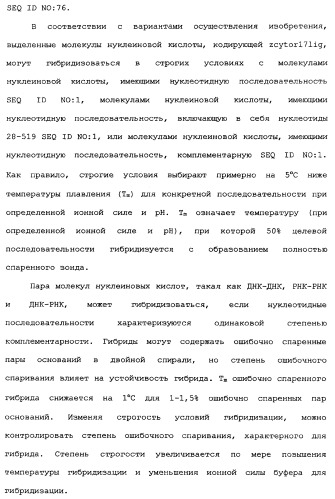 Новый лиганд рецептора цитокина zcytor17 (патент 2360923)
