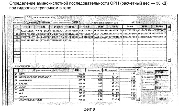 Сигнальные пептиды тат для продукции белков в прокариотах (патент 2487937)