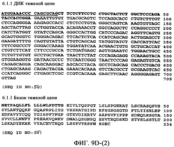 Применение антител к ctla-4 (патент 2346702)