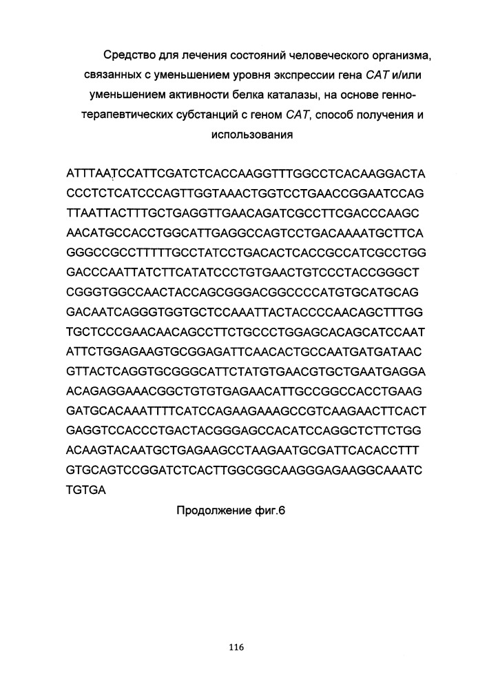 Средство для лечения состояний человеческого организма, связанных с уменьшением уровня экспрессии гена сат и/или уменьшением активности белка каталазы на основе генно-терапевтических субстанций с геном сат, способ получения и использования (патент 2649814)
