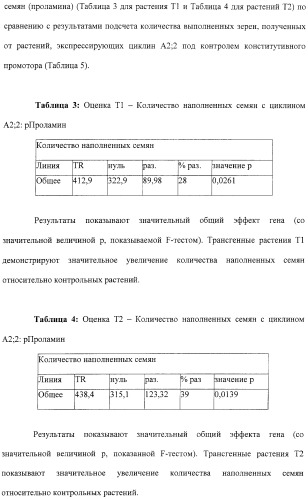 Растения с повышенной урожайностью и способ их получения (патент 2377306)