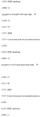 Модифицированное агонистическое антитело (патент 2295537)