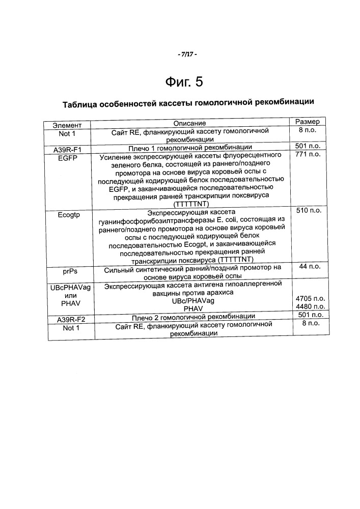 Иммунная модуляция (патент 2662927)