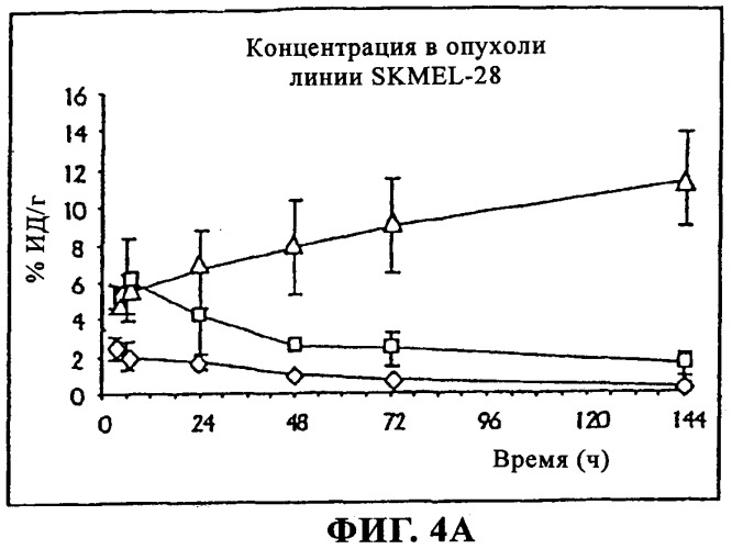 Избирательный направленный перенос в сосудистую сеть опухоли с использованием молекул антител (патент 2347787)