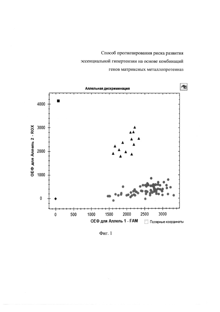 Способ прогнозирования риска развития эссенциальной гипертензии на основе комбинаций генов матриксных металлопротеиназ (патент 2624480)