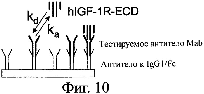 Новые антитела к igf-ir и их применение (патент 2434882)