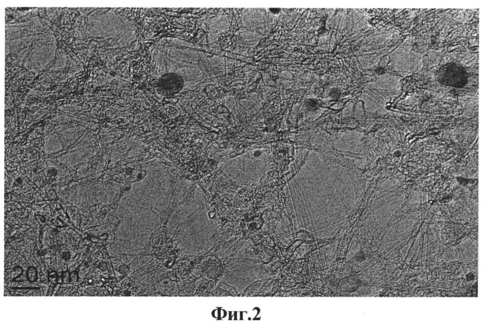 Способ получения гибрида графена и углеродных нанотрубок (патент 2548989)