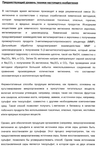 Применение диметилдисульфида для продукции метионина микроорганизмами (патент 2413001)