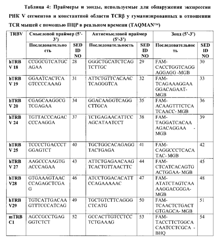 Генетически модифицированные в отношении т-клеточного рецептора мыши (патент 2661106)