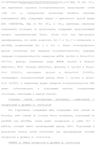 Слитые белки альбумина (патент 2369404)