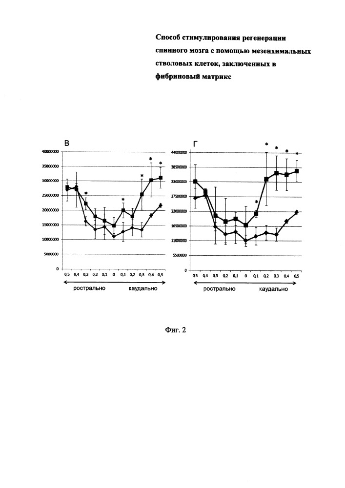 Способ стимулирования регенерации спинного мозга с помощью мезенхимальных стволовых клеток, заключенных в фибриновый матрикс (патент 2650638)
