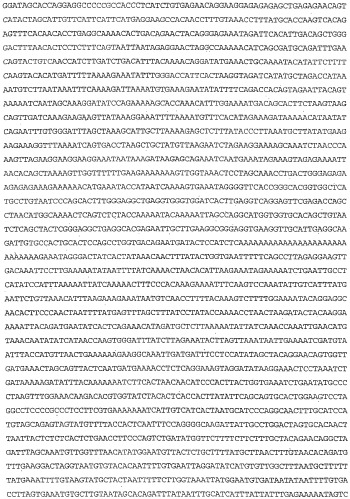 Применение s1p (патент 2362565)