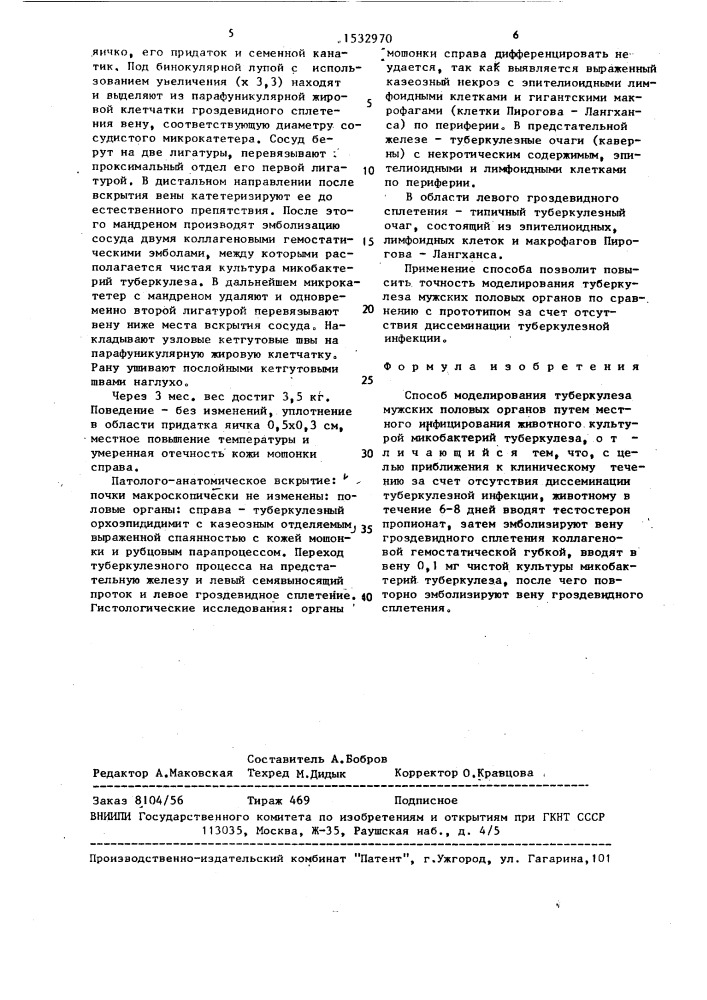 Способ моделирования туберкулеза мужских половых органов (патент 1532970)