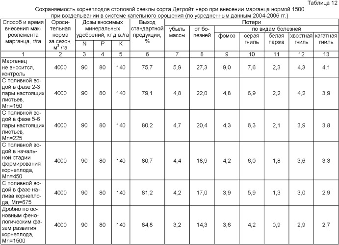 Способ возделывания столовых сортов свеклы, преимущественно в системе капельного орошения (патент 2356205)