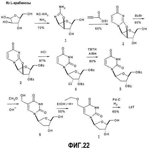 Синтез  -l-2&#39;-дезоксинуклеозидов (патент 2361875)