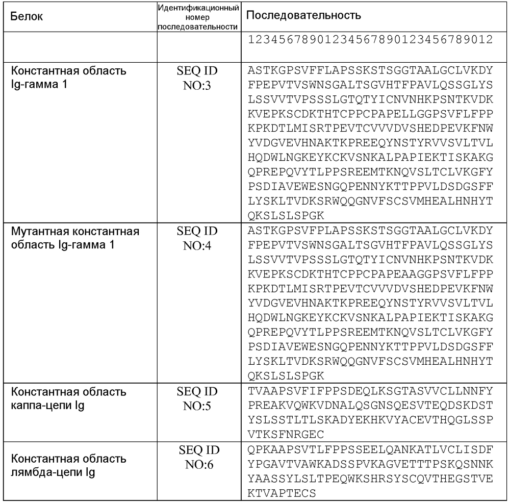 Терапевтические dll4-связывающие белки (патент 2605928)