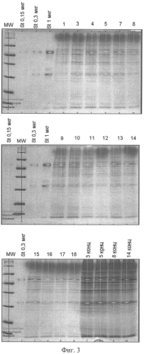 Оптимизированный ген моноклонального антитела инфликсимаб (варианты), рекомбинантная клеточная линия-продуцент этого антитела и способ его биосинтеза (патент 2549692)