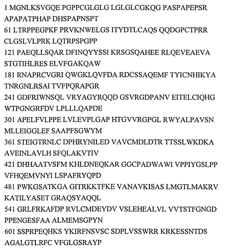 Нейротропное лекарственное средство и способ лечения органических заболеваний нервной системы, психоорганического синдрома и энцефалопатий различного генеза (патент 2536234)