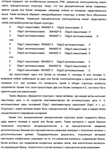 Новые структуры малых интерферирующих рнк (sirna) (патент 2487716)