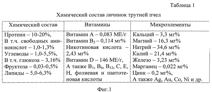 Способ лечения собак при бабезиозе и получения препарата из личинок трутней пчел и сока свеклы для их лечения (патент 2545891)