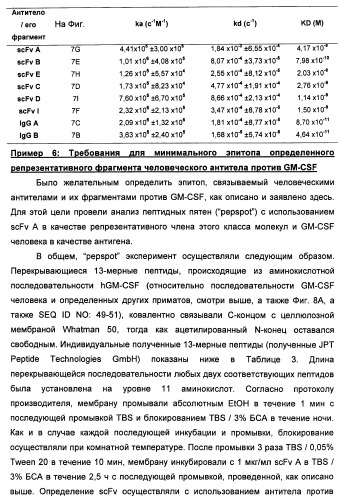 Антитела-нейтрализаторы гранулоцитарно-макрофагального колониестимулирующего фактора человека (патент 2458071)