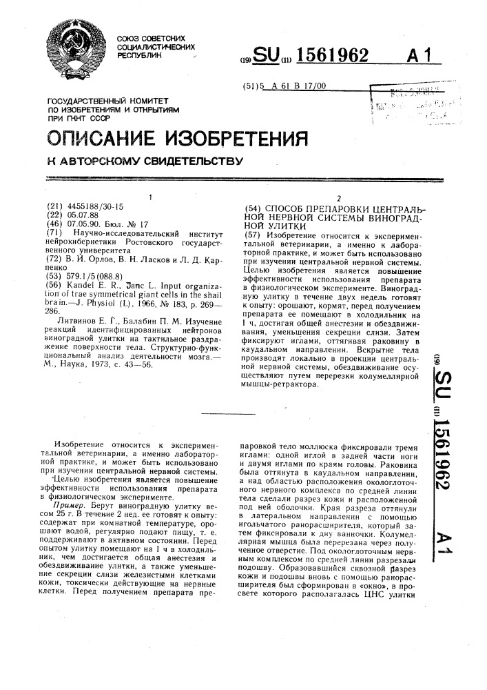 Способ препаровки центральной нервной системы виноградной улитки (патент 1561962)