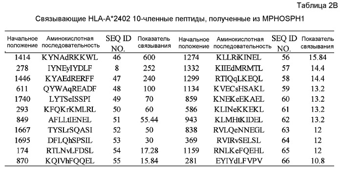 Пептидные вакцины против рака с экспрессией полипептидов mphosph1 или depdc1 (патент 2469044)