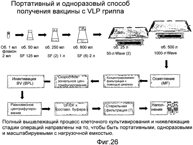 Функциональные вирусоподобные частицы гриппа (vlps) (патент 2483751)