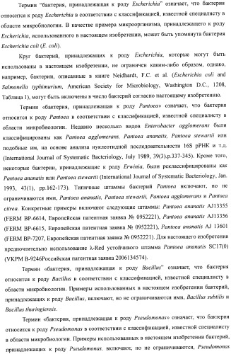 Способ получения гидроксилированной аминокислоты (варианты) и микроорганизм, трансформированный днк, кодирующей диоксигеназу (патент 2460779)