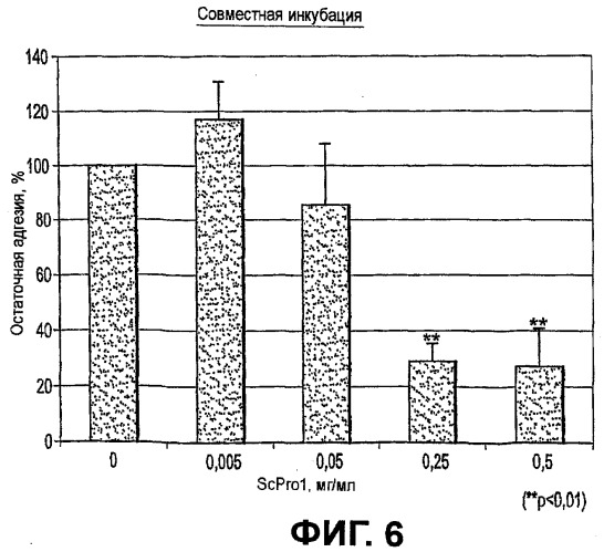 Дрожжи saccharomyces cerevisiae, используемые в качестве пробиотика, и композиция на их основе (патент 2490324)