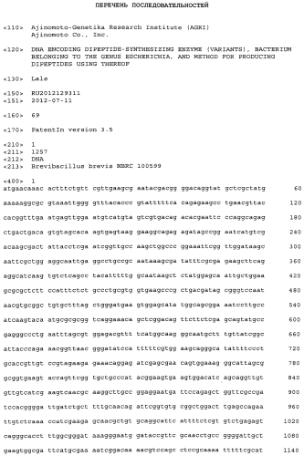 Днк, кодирующая дипептид-синтезирующий фермент (варианты), бактерия рода escherichia и способ получения дипептидов с ее использованием (патент 2560980)