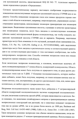 Растения, имеющие улучшенные характеристики роста, и способы их получения (патент 2463352)