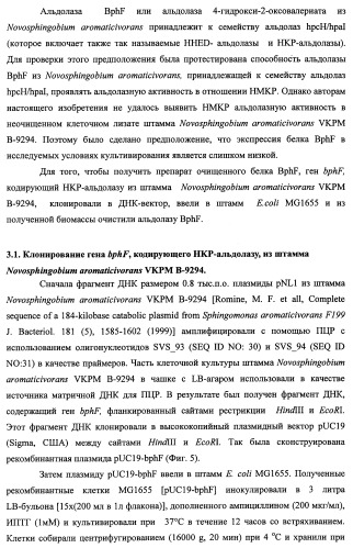 Способ производства 4-гидрокси-l-изолейцина или его соли (патент 2355767)