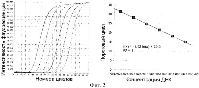 Тест-система для количественного определения streptococcus agalactiae в биологическом материале (патент 2435853)